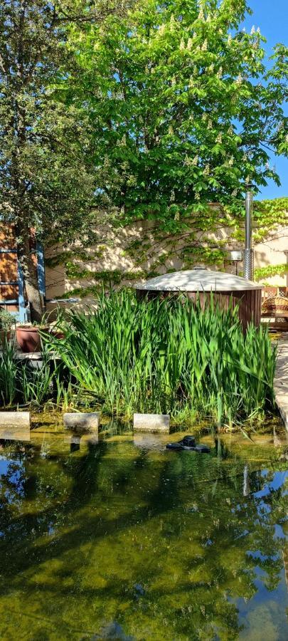 Viento De Ladera Piscina Natural Y Jacuzzi Ext 세고비아 외부 사진