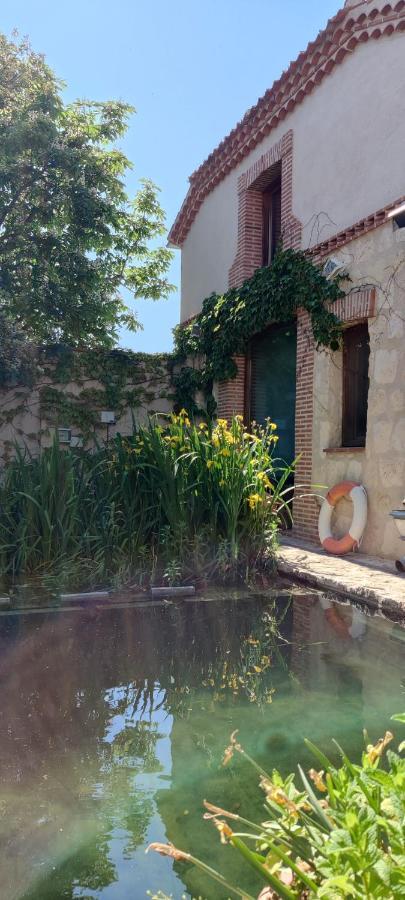 Viento De Ladera Piscina Natural Y Jacuzzi Ext 세고비아 외부 사진