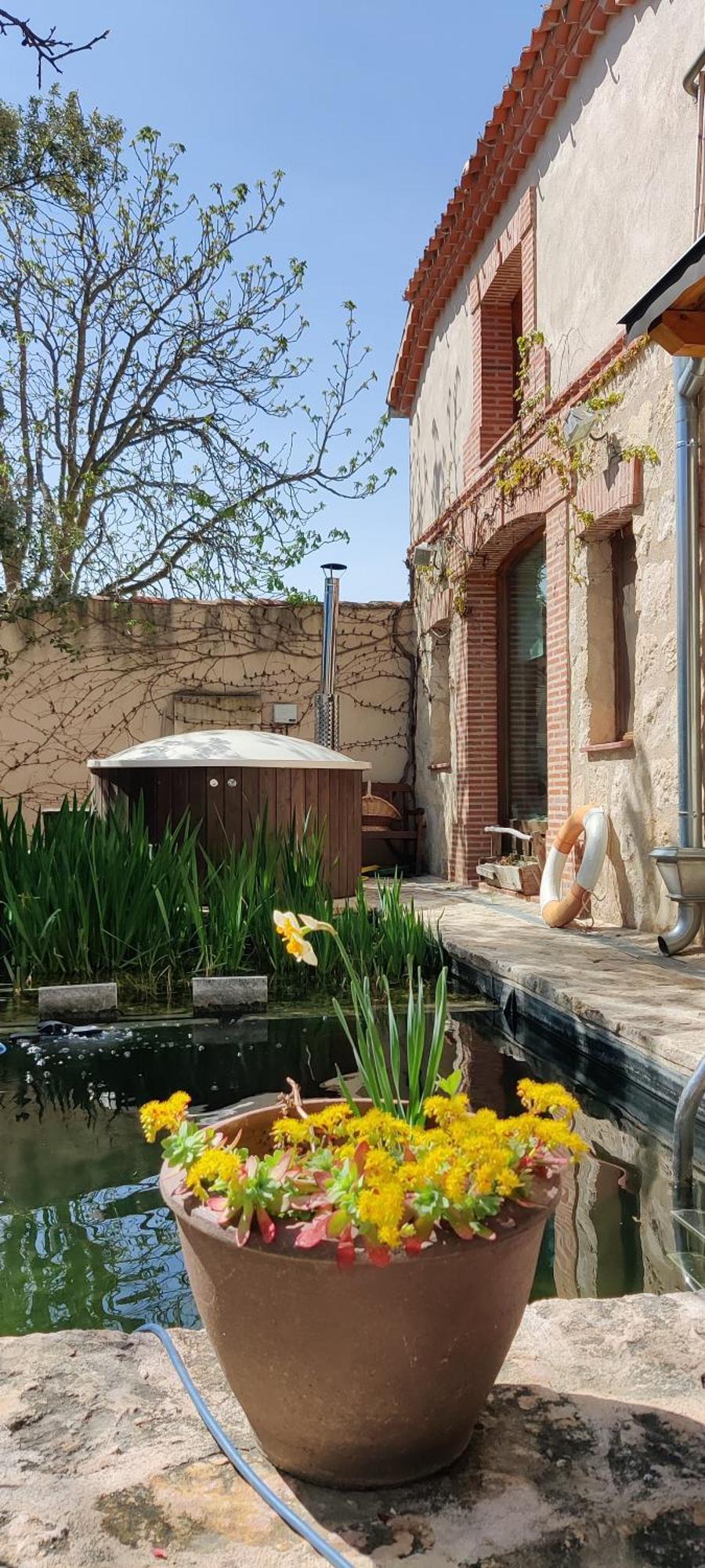 Viento De Ladera Piscina Natural Y Jacuzzi Ext 세고비아 외부 사진